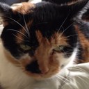 Jane Deedy - @JaneDeedy - Twitter