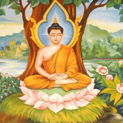 RighteousBizBlo's profile picture. Become enlightened with righteous digital marketing tips and practices by the Righteous Business Blog.