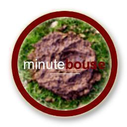 Du buzz rarement, de la bouse souvent ! Toujours à la pointe de l’actu…
Lancement du site mi-janvier , si la fin du monde ne nous anéanti pas d’ici là !