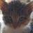 Cyp_Pride_House's profile image