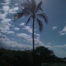 The Hawaiian word Kupuna represents ... the source, the starting point or the process of growth ...

This spirited term is bestowed on honored elders.