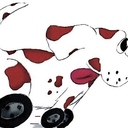 DOGGONEEXPRESS.COM - @WilliamBarse - Twitter