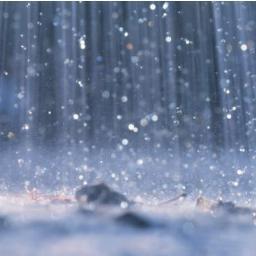 lorean_lizy's profile picture. 