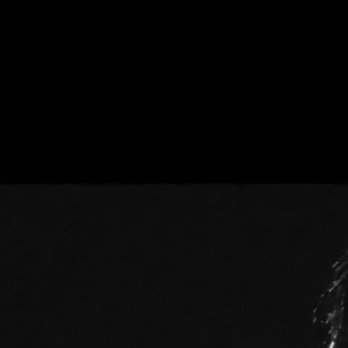 Rocky_is_pop's profile picture. 'Rocky is just wow ;) Hot and amazing! ;) Rape his follow button ;) I love you Rocky ;) By- Your wife ;)3