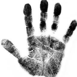 OsteoMark's profile picture. 