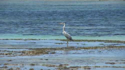 hubit05's profile picture. 