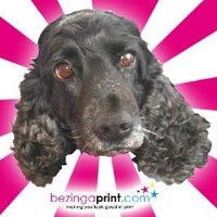 BezingaprintChorlton (@bezingaprint) 's Twitter Profile