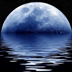 happyalaoui's profile picture. 