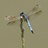 mlfernandez75's profile image