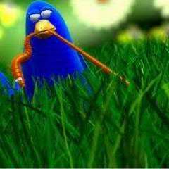 #Follow ME