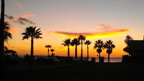 Yvonne05nurse's profile picture. 