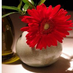 FormerBPGirl's profile picture. 