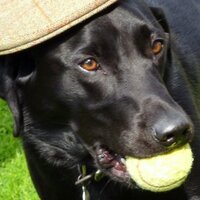 Chris Smith (@phgscs) 's Twitter Profile