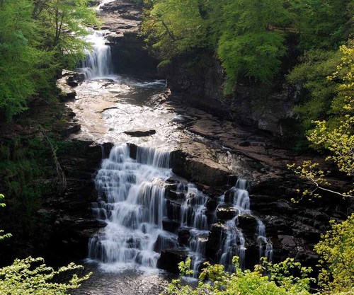 42_mercy's profile picture. Injoying the beautiful bodys.. I love big fat ones men or women pics sexy!!