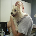 Steve Kates - @stevekates73 - Twitter