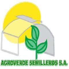 Agroverde Semilleros S.A. es una empresa dedicada a la producción y venta de almácigos y semillas