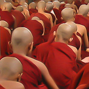 Viatges, fotografies i sensacions.
Viajes, fotografías y sensaciones.
http://t.co/RvZrMHmYdn