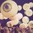 TodaysTake's profile image