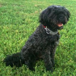 argentiaemp's profile picture. 