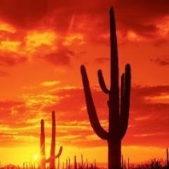 espacionaogea's profile picture. ¡Bienvenid@s a Espacio Naogea!