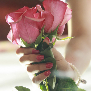 shosha_hassan's profile picture. 