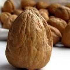 nueznueznueznueznueznueznueznueznuezymasnueces.