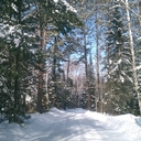 Laura Baudoin - @BaudoinLaura - Twitter