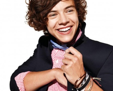 hey guys! welcome to my harry styles fan page:)!!! i love harry with all my heart and i hope u guys like it! this is all the info about harry:) i follow back!!!
