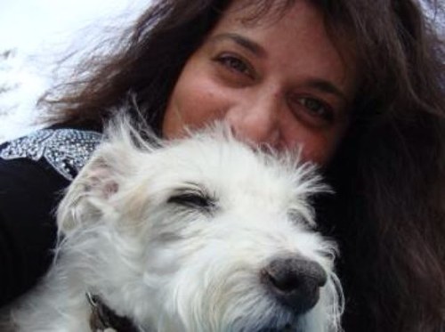 Sharkydog's profile picture. Program Delivery Executive
PMP | ITIL Expert v. 3