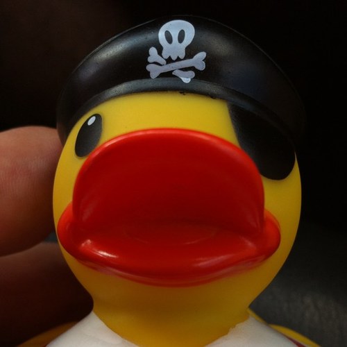 800and65's profile picture. The Shitz of Knoxville