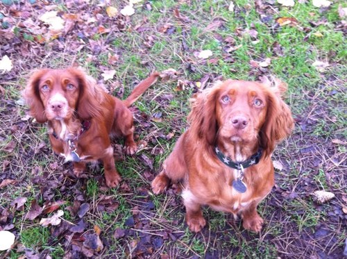 joannahellen's profile picture. 