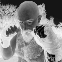 boisdevesyben's profile picture. 