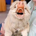 Tim Schulz - @BeneProbatus - Twitter