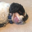 Ricky Glenn - @fatrick_ - Twitter