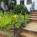 Renata Klein - @SraSabia - Twitter