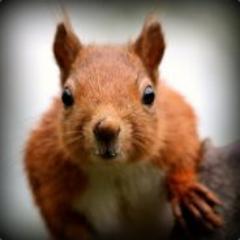 char_mar's profile picture. 