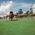 ALEX SANCHEZ (@alessandro39) Twitter profile photo ALEX SANCHEZ (@alessandro39) Twitter profile photo