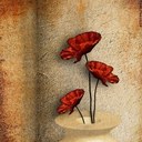 Terry Guess - @tguess94 - Twitter