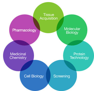 Market research for drug discovery