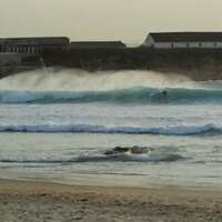 pesurfing's profile picture. 