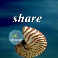 clubatlantico.com (@clubatlantico) Twitter profile photo