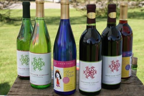 Oldest commerical vineyard in Vermont located in beautiful South Hero on the shores of Lake Champlain. Family owned and operated, tasting room open!