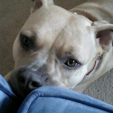 kbuzz54's profile picture. Love God, Family and the USA! Yes, I am a Strong Conservative and Yes , I STAND W/ OUR PRESIDENT TRUMP 2020 🇺🇸🇺🇸🇺🇸