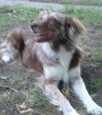 cparnell44's profile picture. political junkie; always on the lookout for when and where literature, politics, technology and pop culture meet