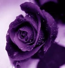 Im here for all of you out there that just need someone to talk to about anything. I want people around the world to have someone to talk to. my # is 2899812783