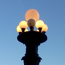 redawn's profile picture. Public Health