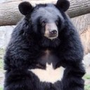 William E. Crago - @William_Crago - Twitter