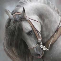 الحمد لله رب العالمين .......عدد خلقه و رضى نفسه وزنة عرشه ومداد كلماته