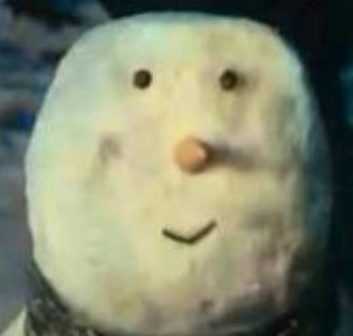 Am a snowman if you ask me something i will reply the best i can