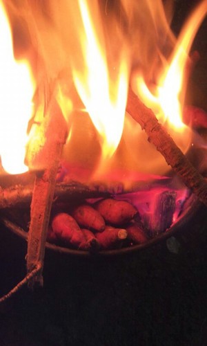 netstyle79's profile picture. 좋은글